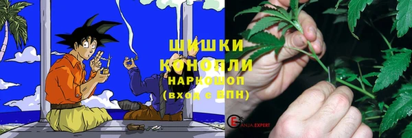 дмт Арсеньев