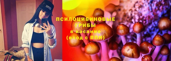 альфа пвп Няндома