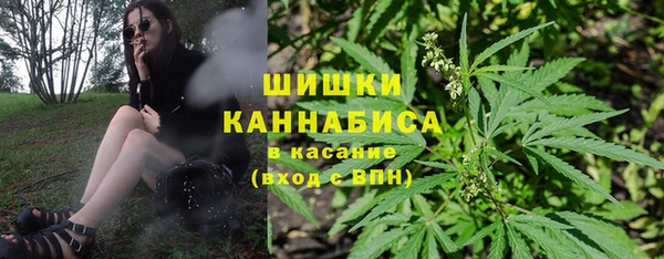 дмт Арсеньев