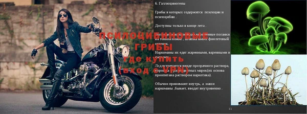 дмт Арсеньев