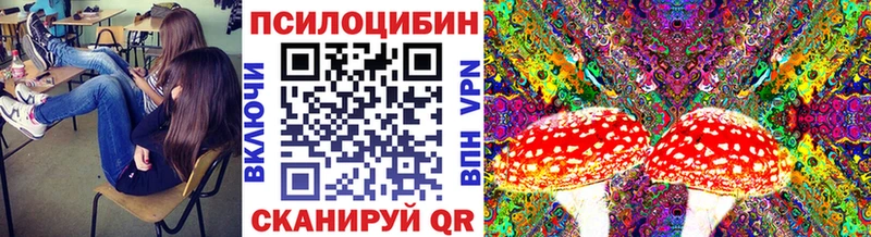 цена   Ахтубинск  Псилоцибиновые грибы прущие грибы 